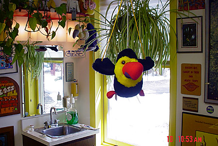 A bird's-eye view of the home care area.